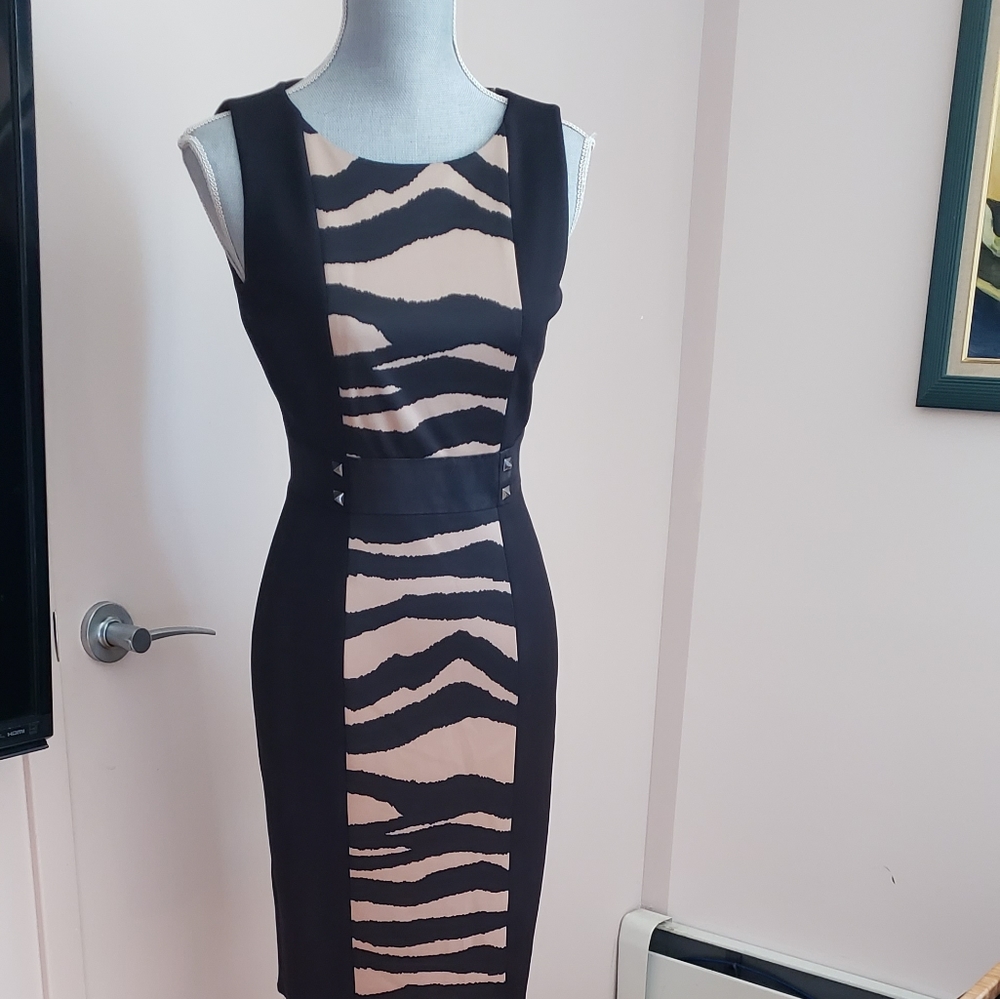 BNWT  Tahari Arthur  S.Levin dress